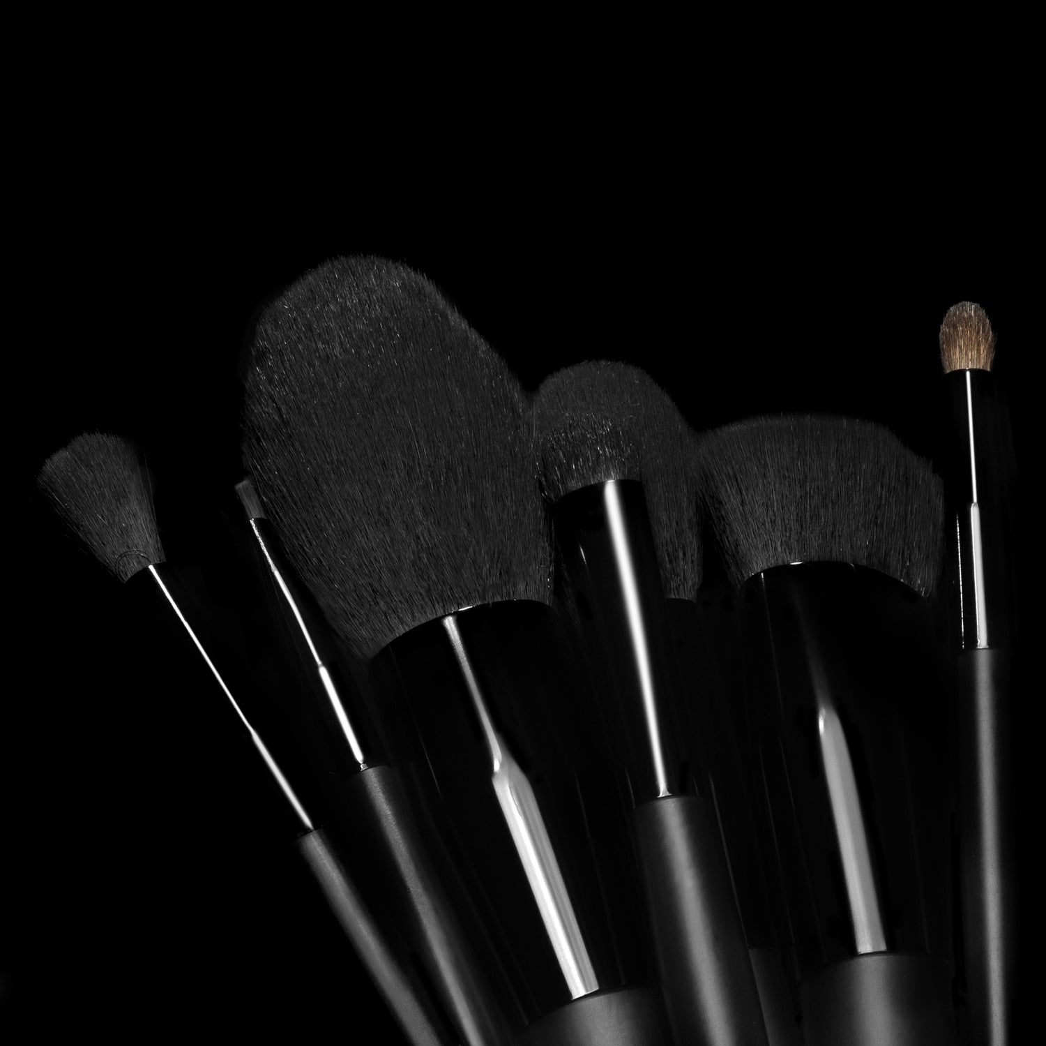 La Cara Classic Brush Set -10 Pieces