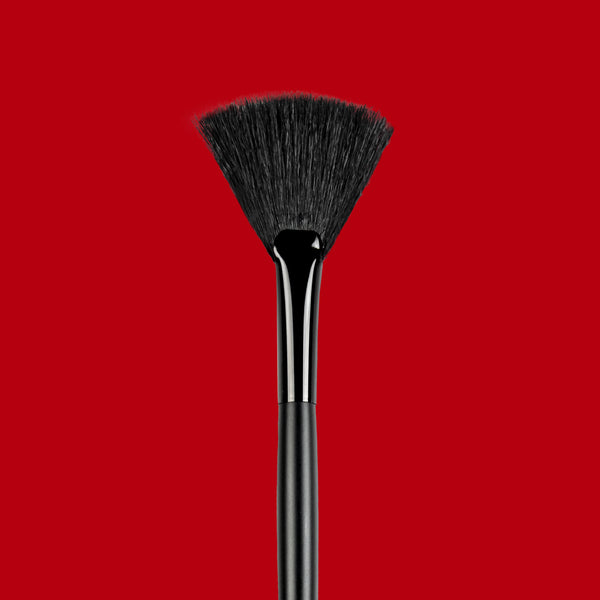 Fan Highlighter Brush F005