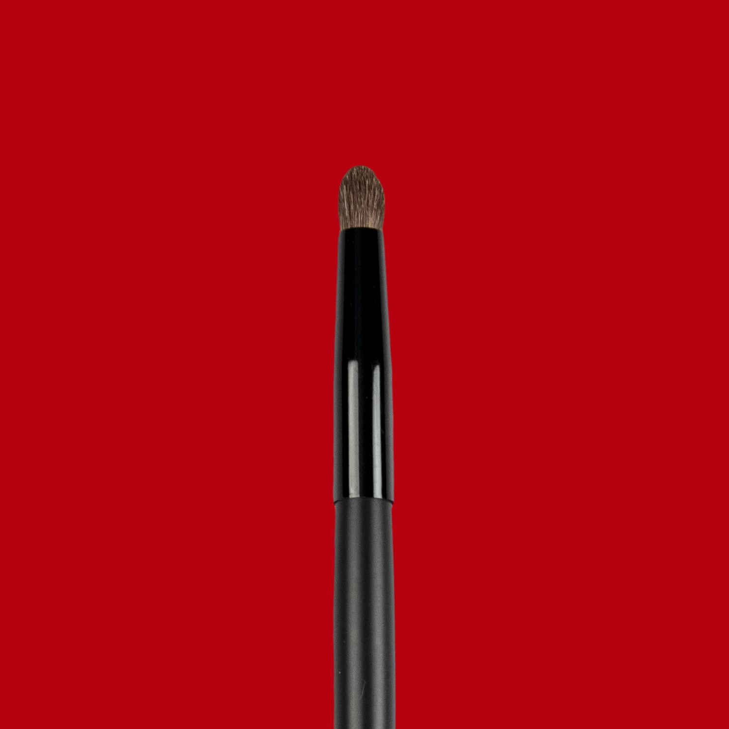 Pencil Smudge Brush E008