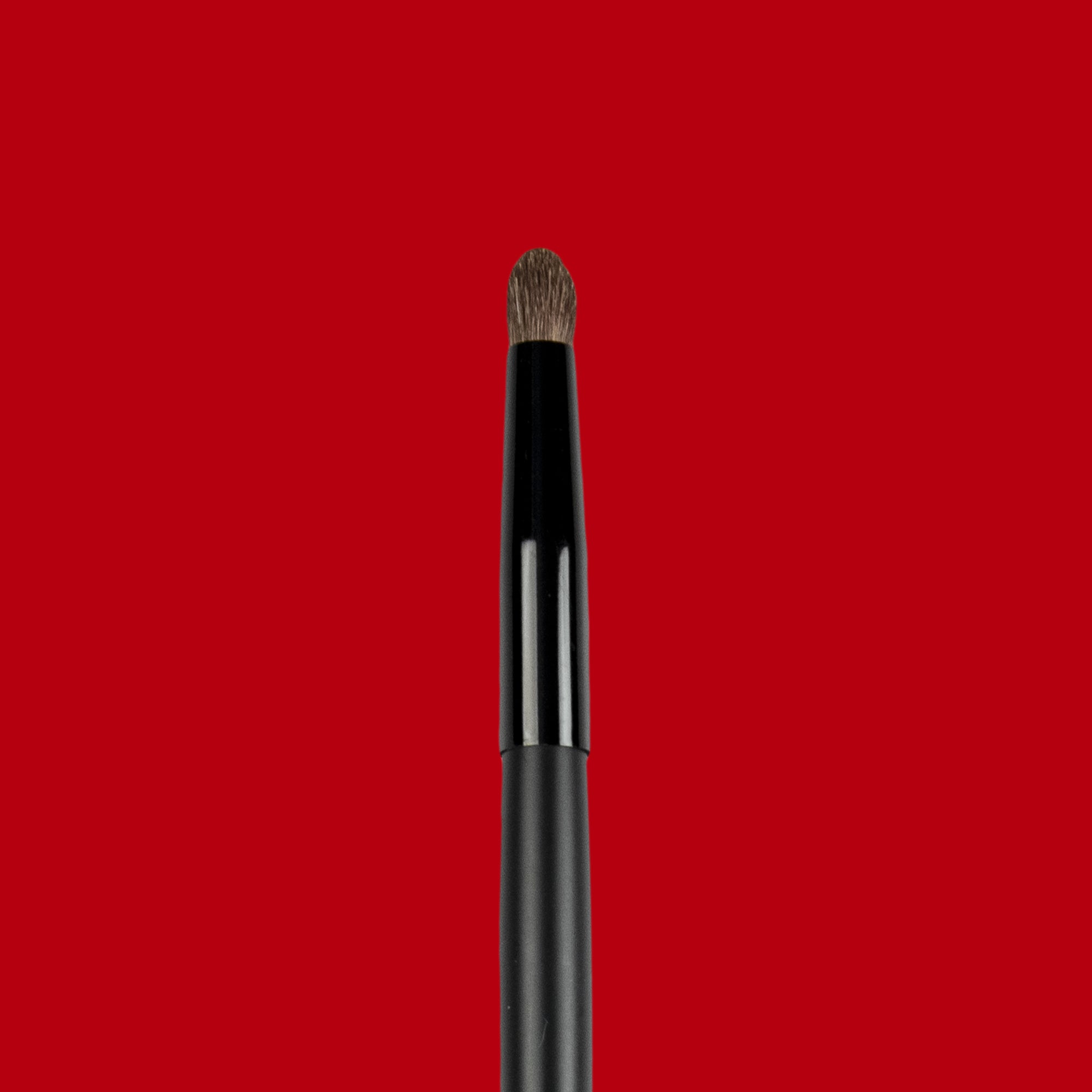 Pencil Smudge Brush E008