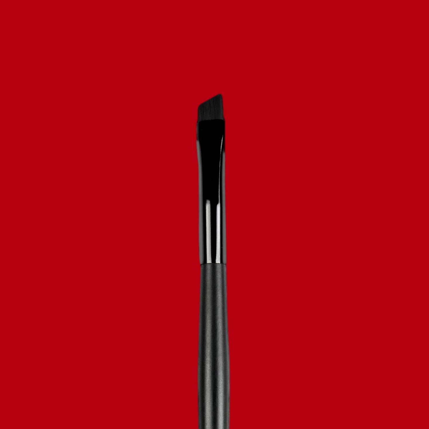 Angled Liner/Brow Brush E009