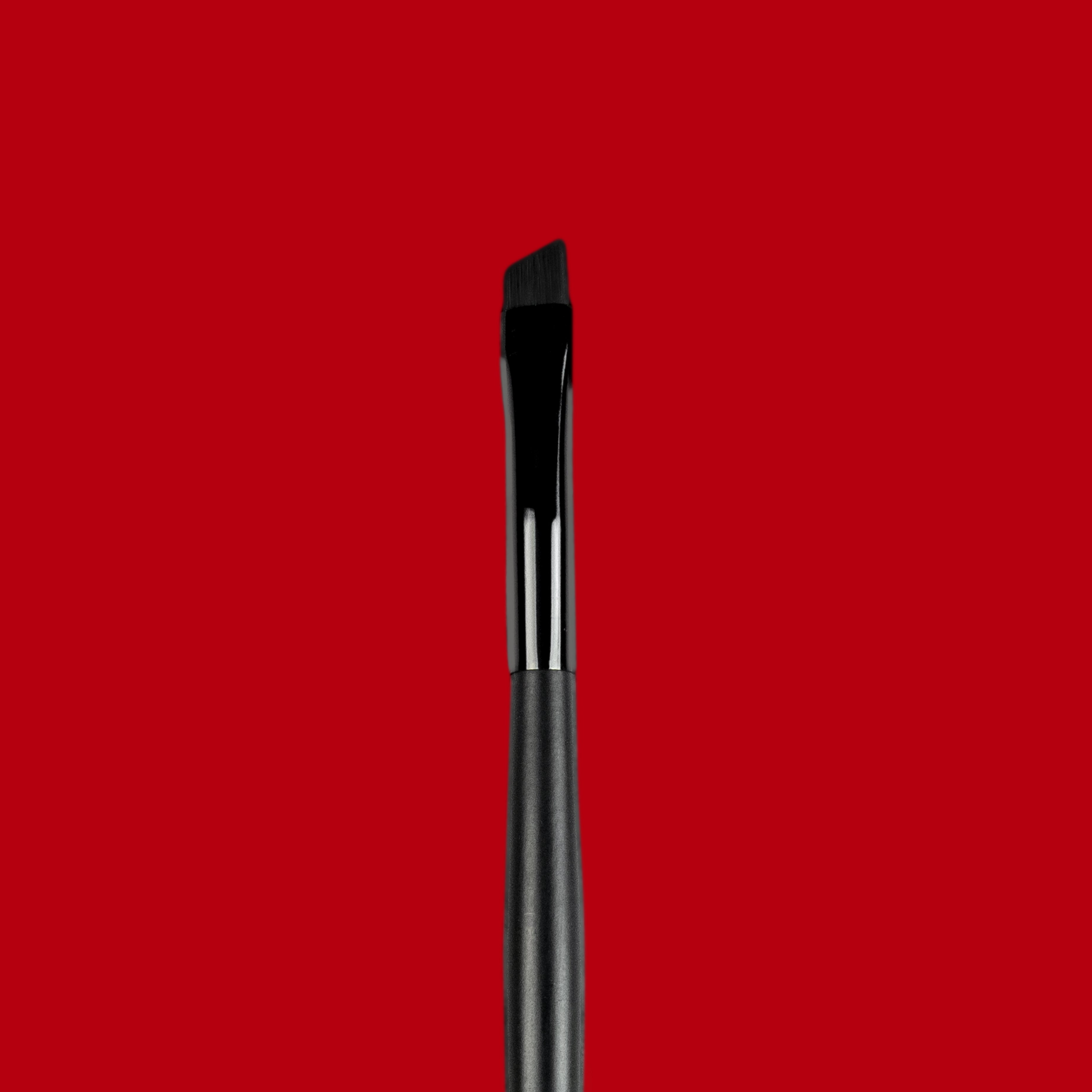 Angled Liner/Brow Brush E009