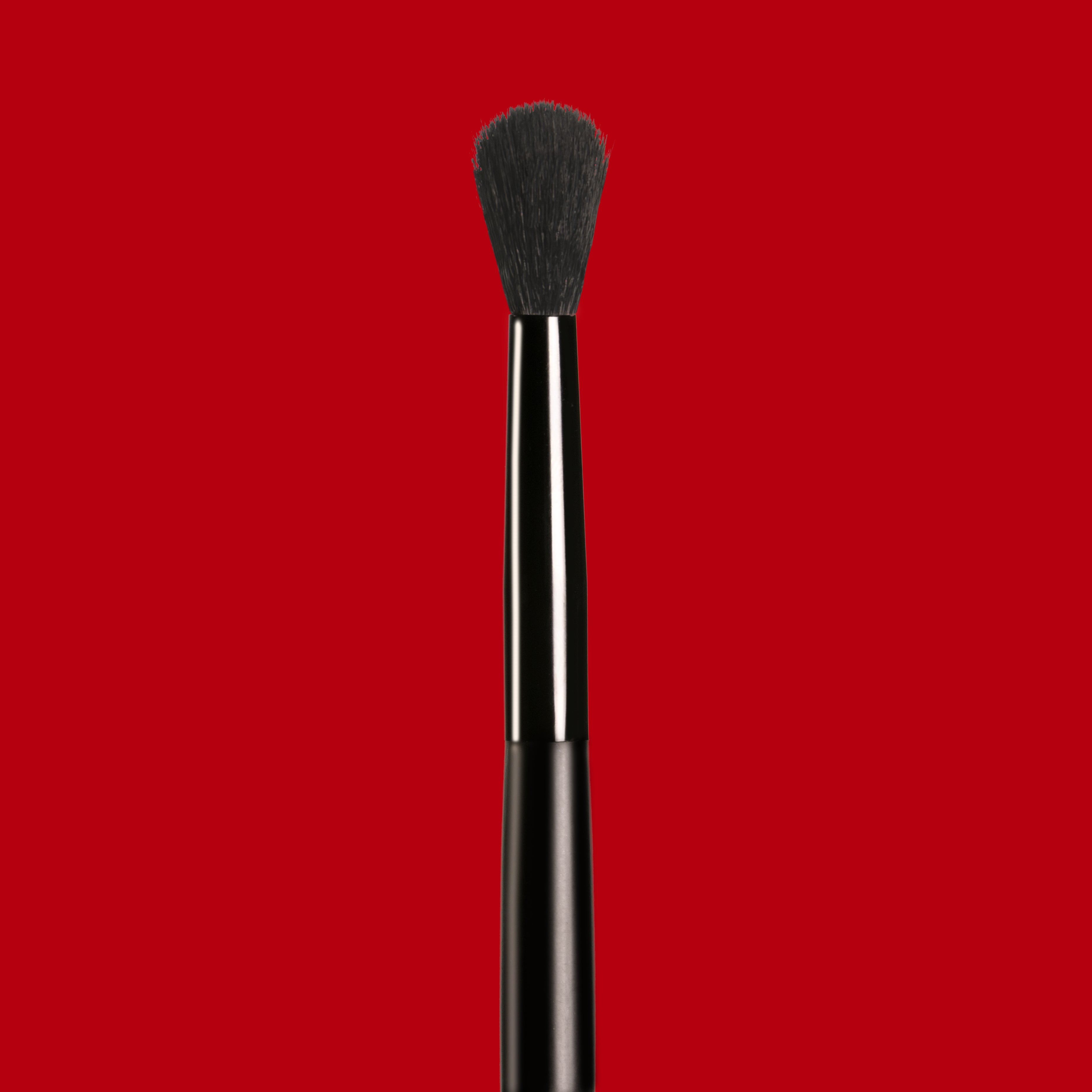 Fluffy Blending Brush E006