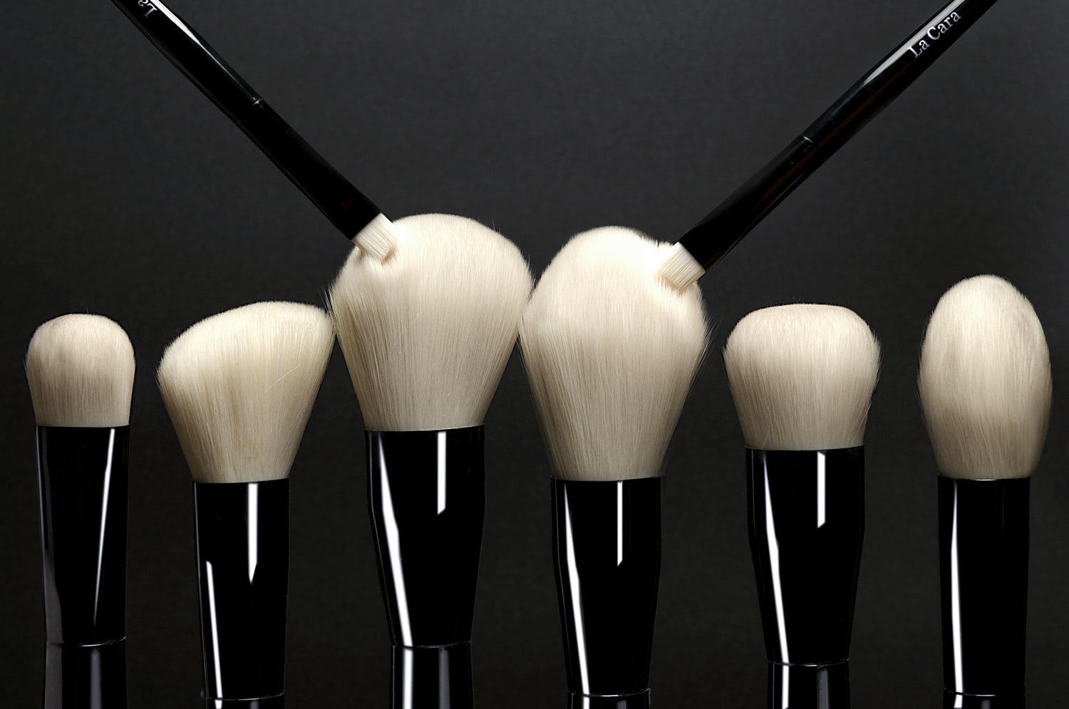 La Cara Swan Collection 17 Brushes